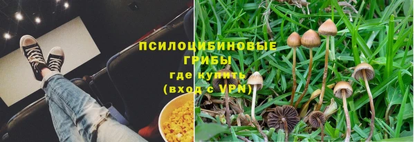мяу мяу мука Алзамай