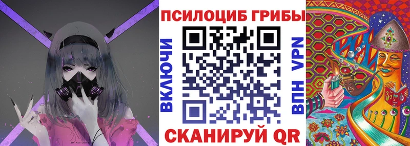 Псилоцибиновые грибы прущие грибы  где купить наркоту  Рубцовск 