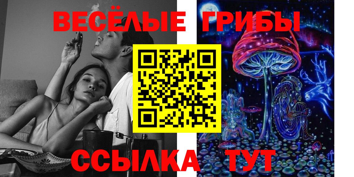 Псилоцибиновые грибы Psilocybine cubensis Рубцовск