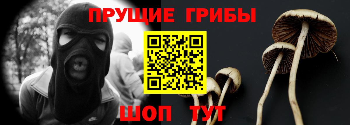 Рубцовск  Псилоцибиновые грибы Cubensis  Галлюциногенные грибы Magic Shrooms  Вход с VPN 